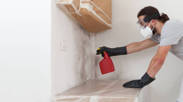Professional Crawl Space Mold Removal technician working in Cedar, MN